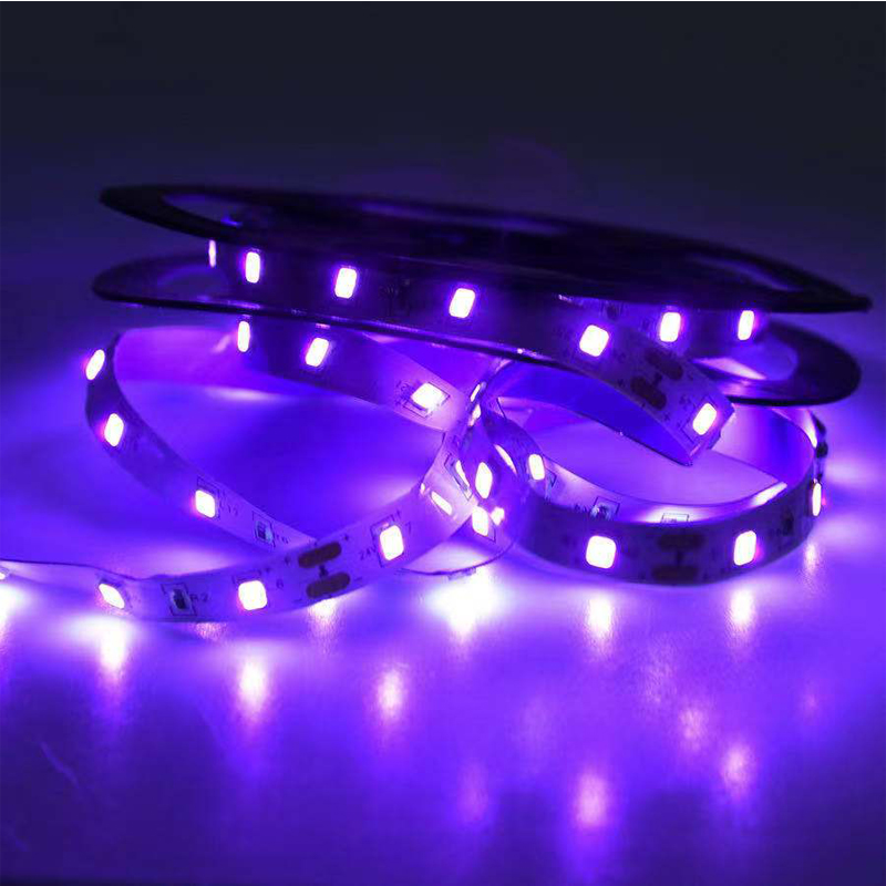 UV LED 자외선, 블랙 UV 램프, SMD 5050 - Uv Nail Lamp 리뷰 및 가격